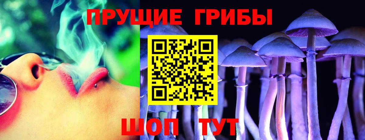 Псилоцибиновые грибы Psilocybine cubensis Кашира